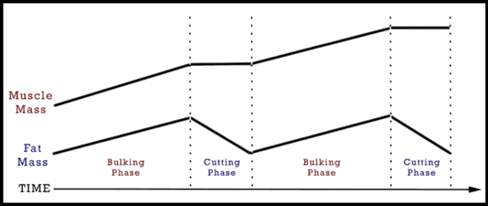 bulking and cutting cycle