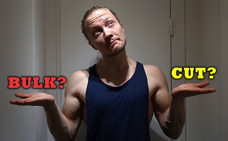 bulking and cutting for beginners
