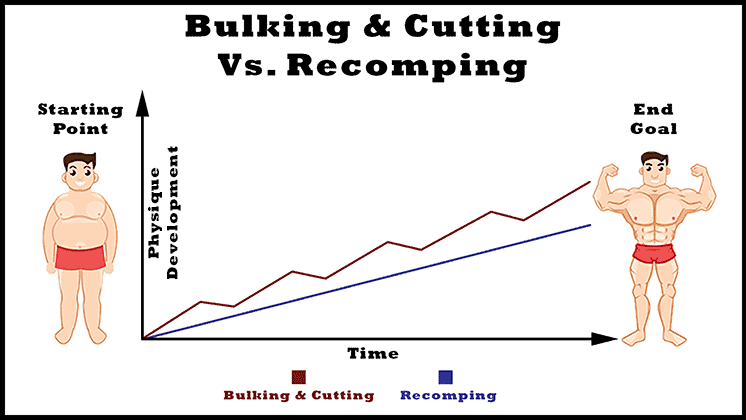 bulking and cutting fat