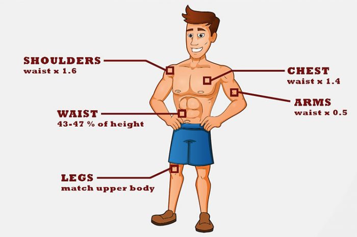 What Is Considered The Perfect Male Body The Adonis Index Iron